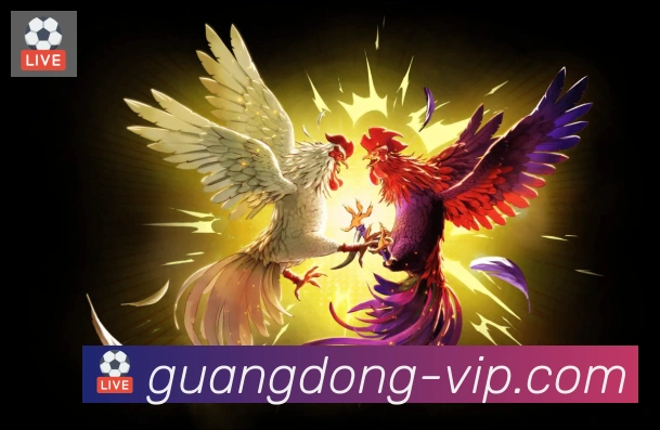 广东体彩发展历程